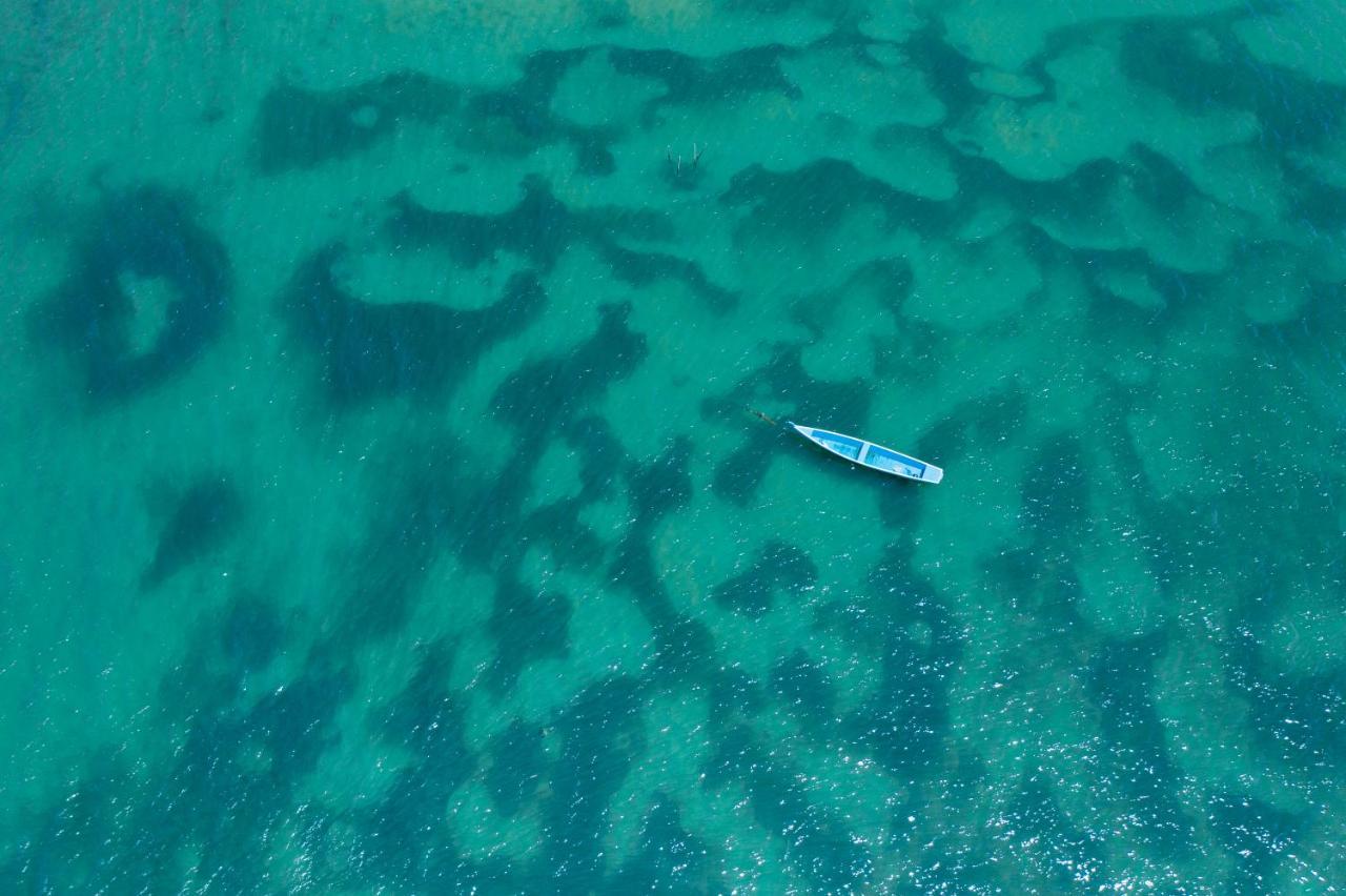 Pousada Barrabella Barra Grande  Eksteriør bilde